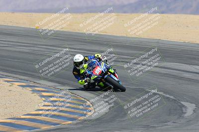 media/Mar-23-2025-CVMA (Sun) [[674f32b282]]/Race 6-Stock 1000 Shootout/